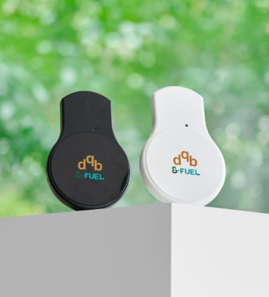 DQBEFUEL 연료절감기 - 휘발유용 - 500시간(테스트용 발송안됨)
